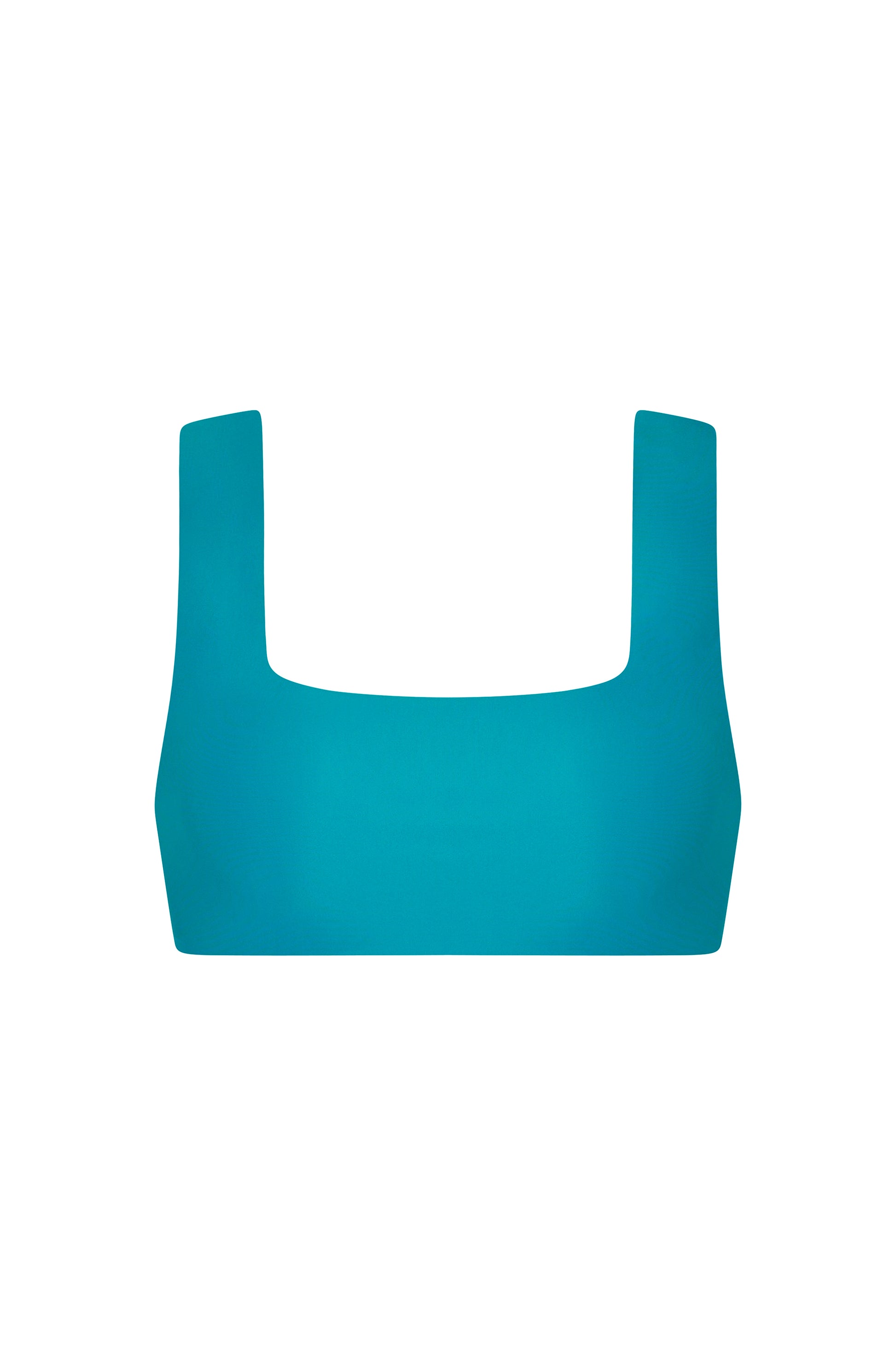 Eden Surf Bikini Top Blue Iguana