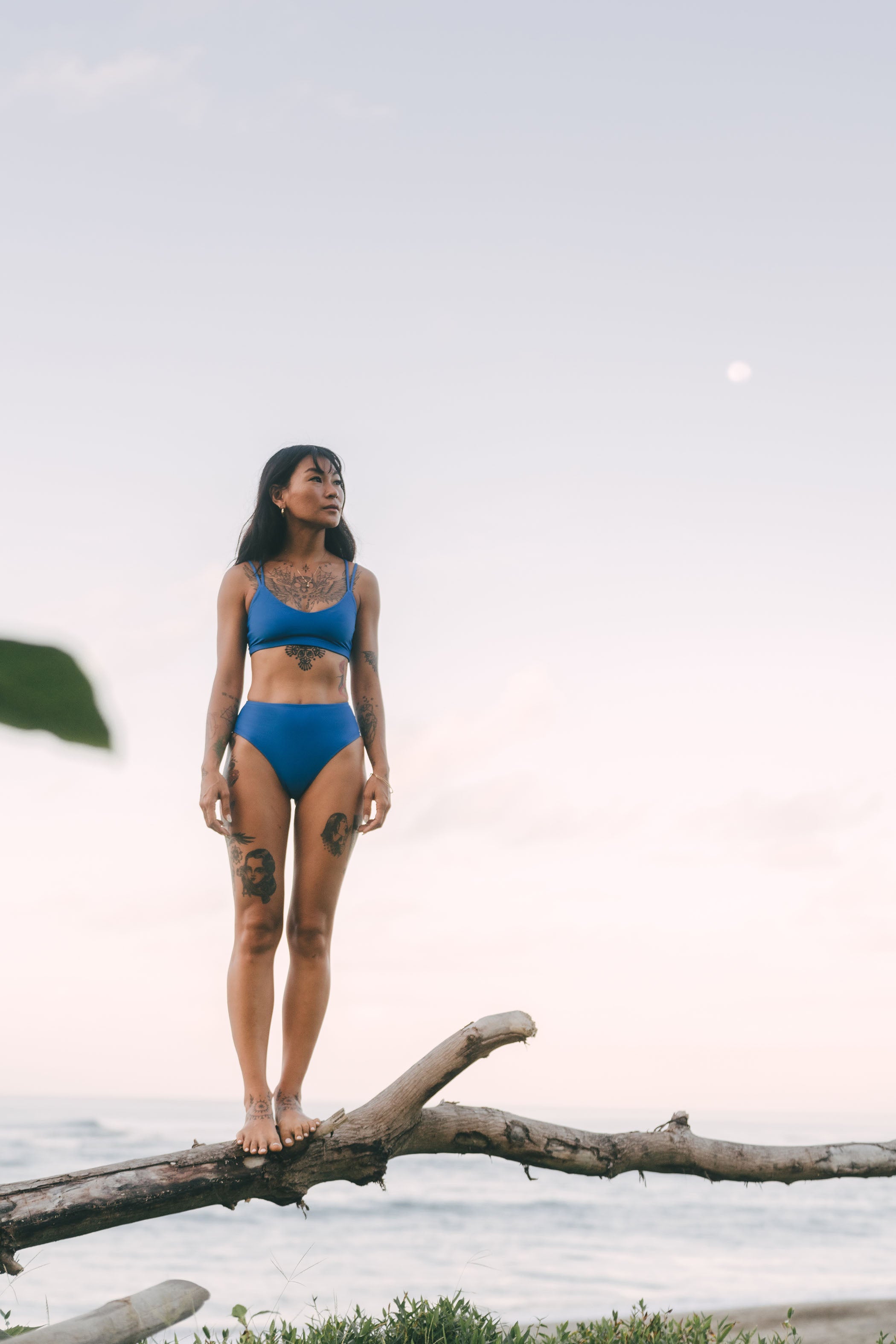 Surf Bikini Top Topanga Island Blue