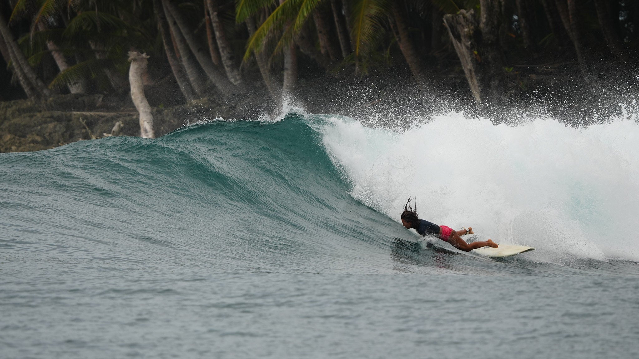 Surfer riding a wave in a tropical setting with palm trees.