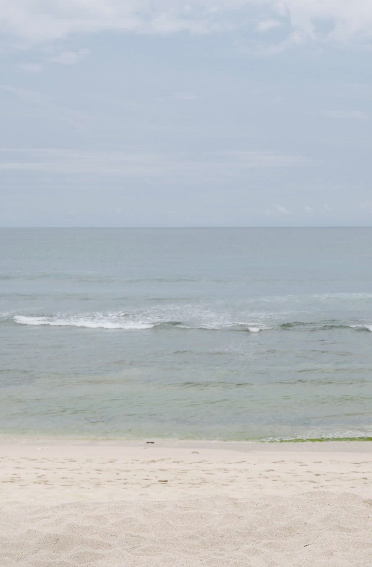 Load video: Alice Burnt Sienna Bottom